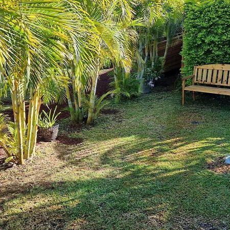 Le Palmier De La Paix Bed & Breakfast Le Tampon Luaran gambar