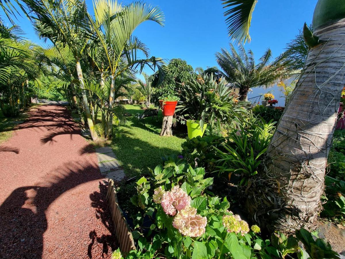 Le Palmier De La Paix Bed & Breakfast Le Tampon Luaran gambar