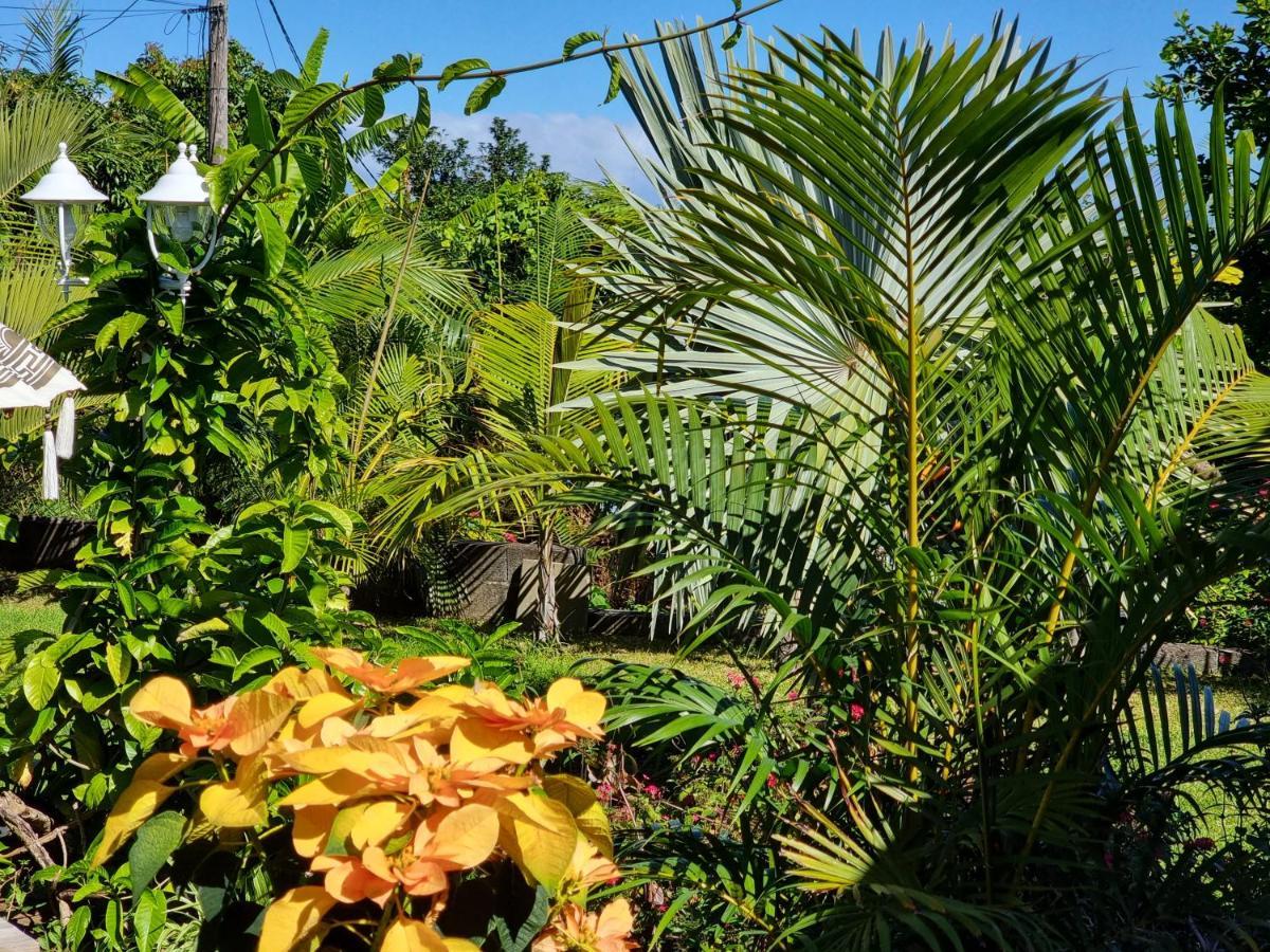Le Palmier De La Paix Bed & Breakfast Le Tampon Luaran gambar